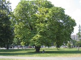 Washinton 055 